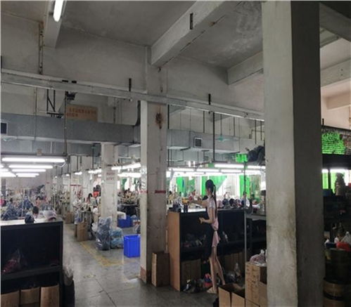 福州市培訓(xùn)學(xué)校房屋安全鑒定住建局認(rèn)可單位 新聞聯(lián)播